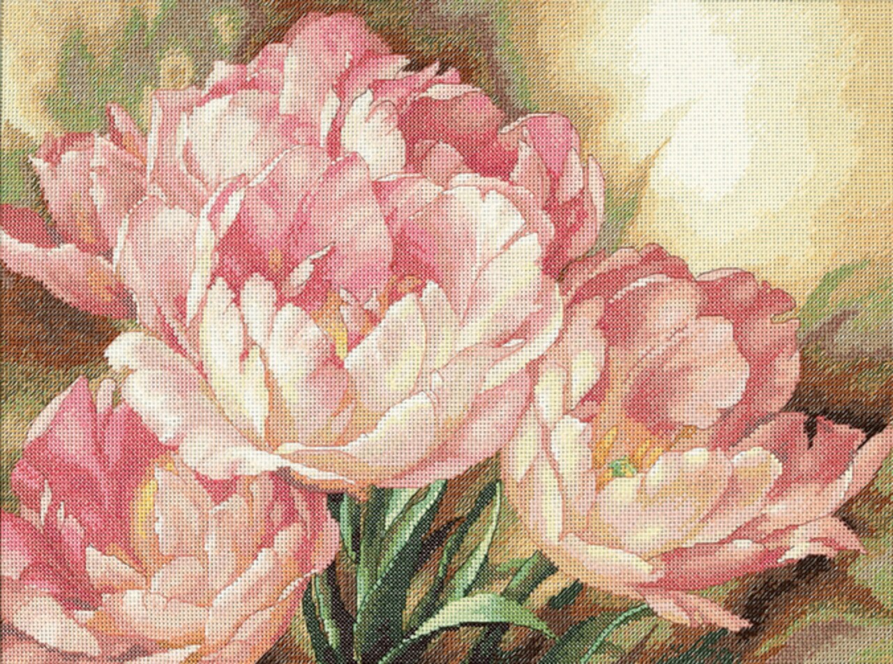 Dimensions Gold Collection Counted Cross Stitch Kit 16"X12"-Tulip Trio (14 Count)